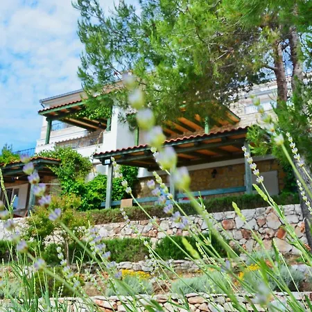 Blissful Bay - With Terrace Appartement *